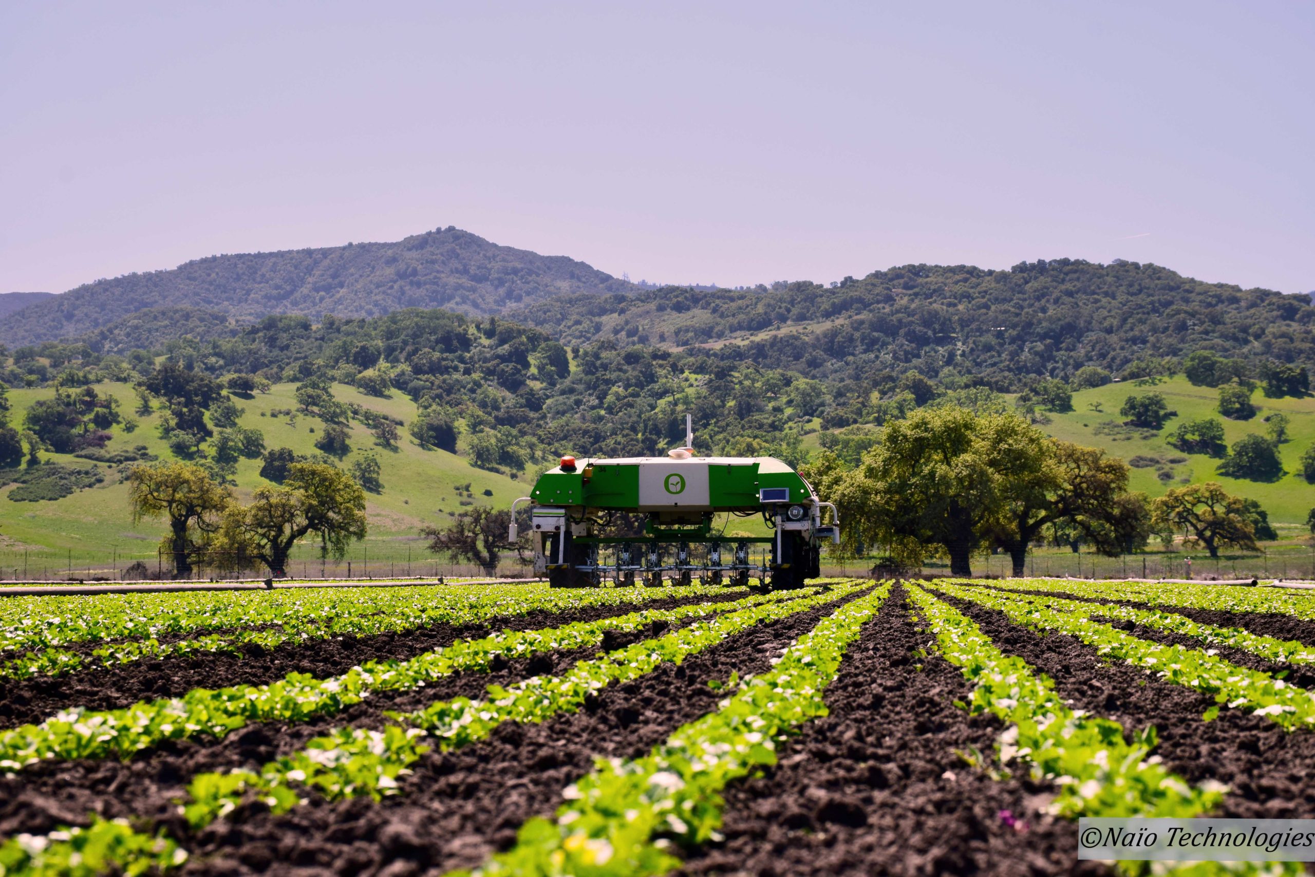 Robotique agricole Naio